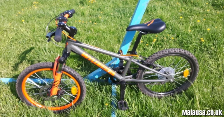 Wyldee: Meaning, Online Presence, and Uses of the Name Wyldee: Meaning, Online Presence, and Uses of the Name